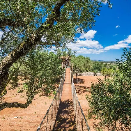 Landhaus Ideal Mallorca - Sa Canova D'ariany Ariany